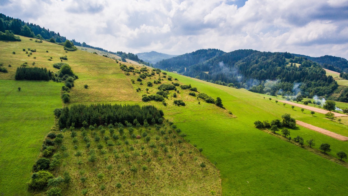 最全的车险购买指南，看完这篇就够了！