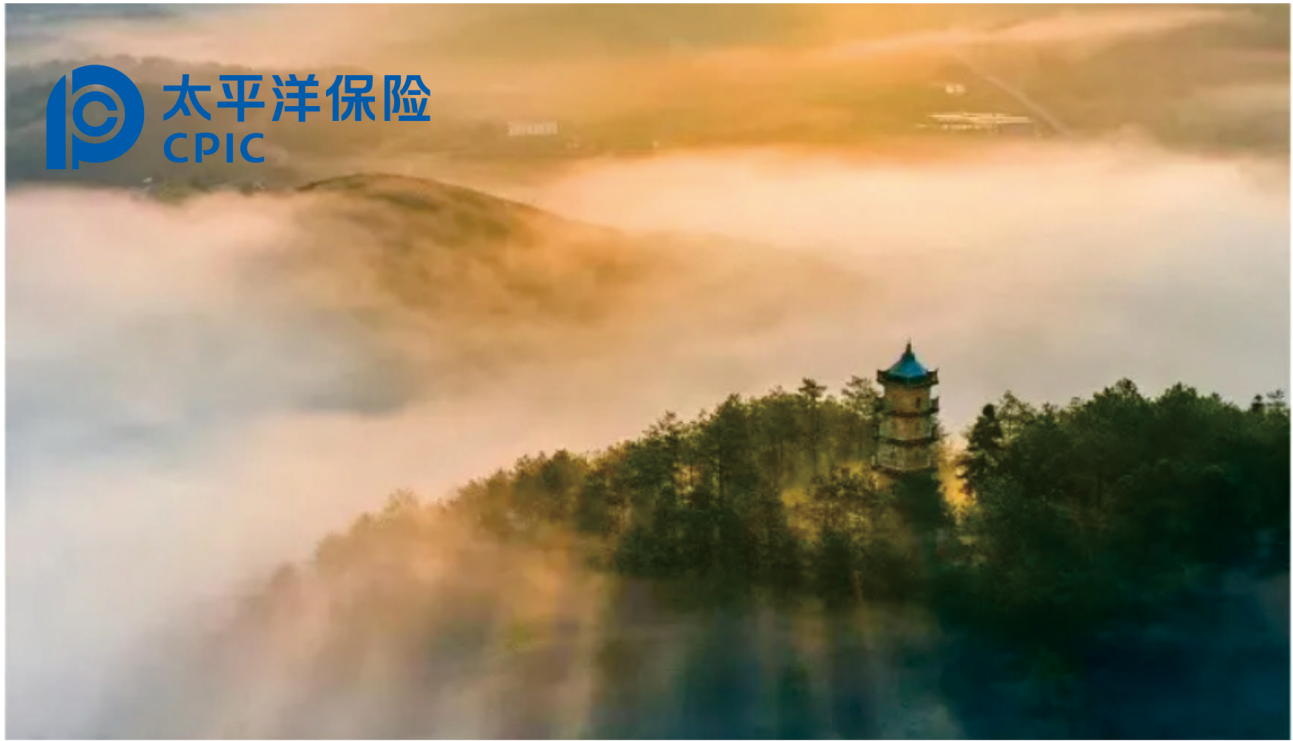 为什么越来越多的车主选择驾乘意